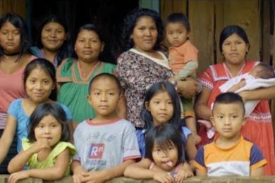 529D1A07-F9F1-455A-B801-505BC0BE2906