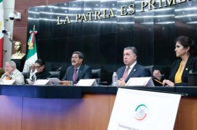 54236DB8-1B8F-44A0-8F3E-FB8C4606F9D2