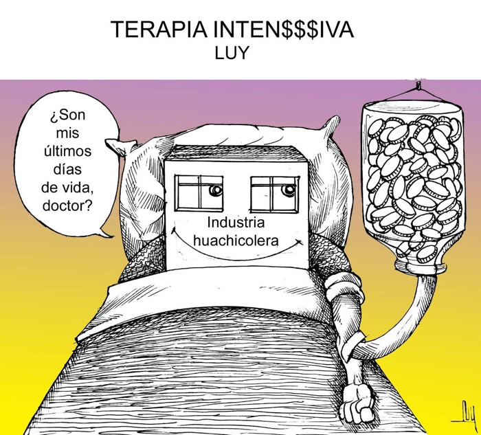 Colaboración de LUY