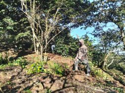 62DE7341-D0B8-4E36-A881-D3B2F7DDF309