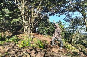 62DE7341-D0B8-4E36-A881-D3B2F7DDF309