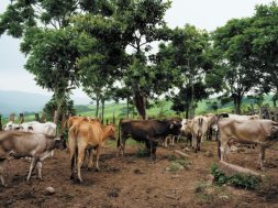 6BD8BB08-5EC5-417D-A4E5-ED4FD8C5BEE6