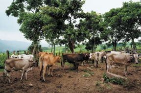 6BD8BB08-5EC5-417D-A4E5-ED4FD8C5BEE6