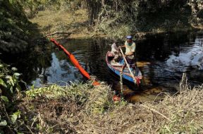 6E9C2494-01EB-450D-8850-15DB219ED294