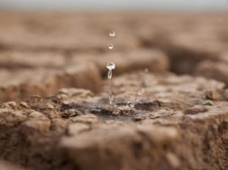 9385752D-8952-46D7-92FC-D99A111DBAA4