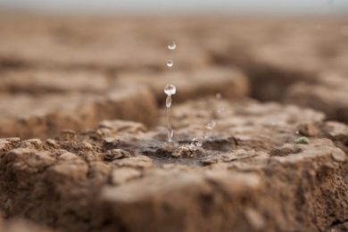 9385752D-8952-46D7-92FC-D99A111DBAA4