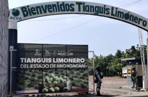 94E4F641-C146-47EC-B0A6-4DC15AF7A10F