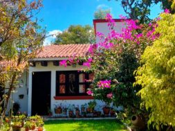 96DC4770-8C6A-4C2C-921B-054E9D77E0DC