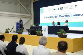 985F2E51-C20C-47B0-BF44-4FCB3B3D79C6