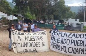 BD0BF664-B577-4F7C-A8DE-F0BE326171E9