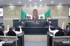 C6C50566-1BCC-4652-A060-DA71E741936F