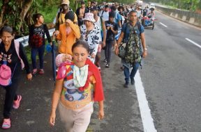 D1211DF2-8984-4BF6-A3BE-CD1E3BF4D772