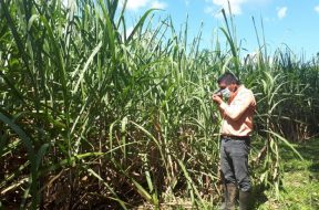 D6910802-1B03-4DA2-B85B-2A1CC4579637