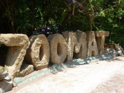 E29B54F4-64EB-49E8-9AE2-60A8371A6038