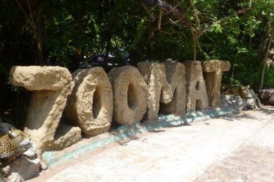 E29B54F4-64EB-49E8-9AE2-60A8371A6038