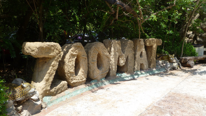 Paga Zoomat consecuencias denegligencia institucional / En la Mira