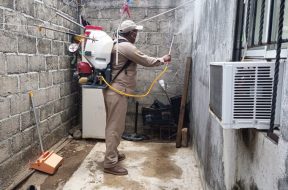 EF8A8BA6-E933-4F1A-B1A3-4E462E923C1F