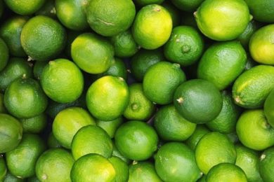 F304DD38-F027-4C42-A7BF-29D13A82B79A