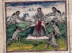 FBD8245A-EEC0-44B1-AAFF-DCE26E8FA7C5