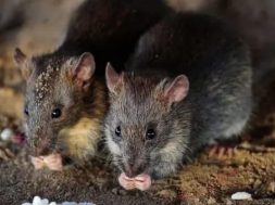 09637766-3F5A-48CD-B49D-EA52D4439E44