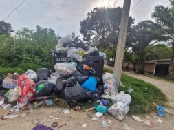 290A8B47-516E-4A87-AD3E-BA571EFCF2C9