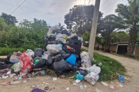 290A8B47-516E-4A87-AD3E-BA571EFCF2C9