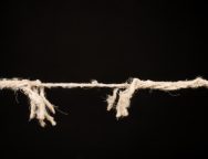 3441FF23-DD34-4CBB-8E31-18DF3FAFAECC