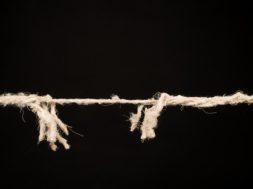 3441FF23-DD34-4CBB-8E31-18DF3FAFAECC