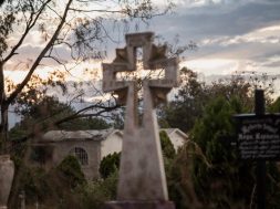 3C25312C-1097-463A-95C6-78D36AAD007C