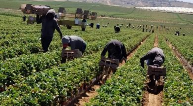 3E188479-C5C1-4874-BA4B-F0929BE84659