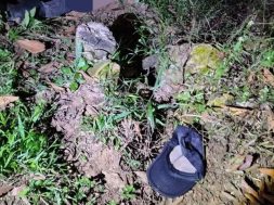 43A9FB80-8272-4BB0-AF82-4EBC519D3FFF