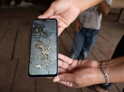 4DD26383-29E3-4595-80E3-6EDF9B23B04C