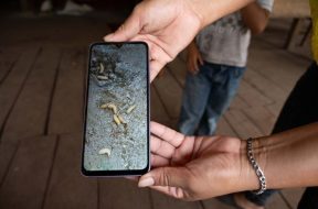 4DD26383-29E3-4595-80E3-6EDF9B23B04C