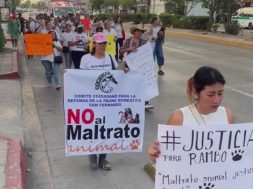 51DF24DF-BF8C-44B7-8568-99C8AA9AA91E