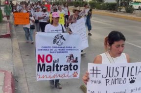 51DF24DF-BF8C-44B7-8568-99C8AA9AA91E