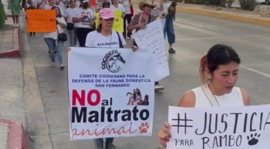 51DF24DF-BF8C-44B7-8568-99C8AA9AA91E