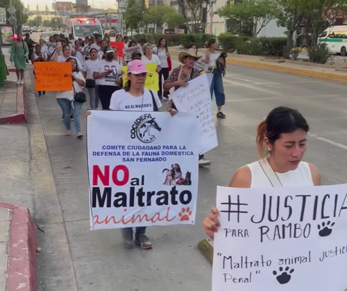 Exigen en Tuxtla castigo por agresiones contra animales en marcha ciudadana