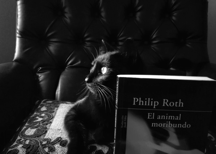 El Animal Moribundo / La Esquina Rota