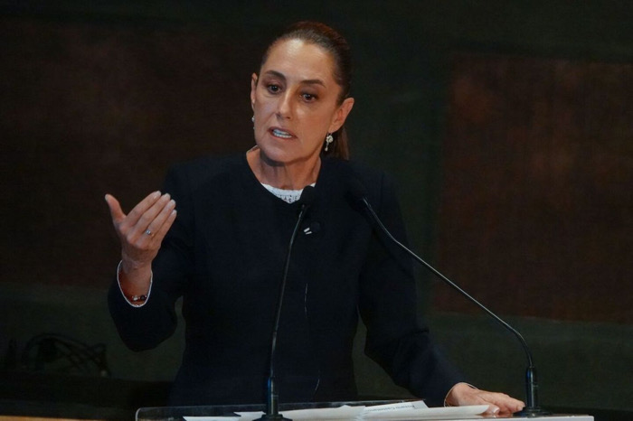 Cuando la ofensa toca al poder y el poder olvida al pueblo / Perro negro y callejero