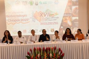 7EC85A14-8051-4E29-B26A-50F6FD411DF5