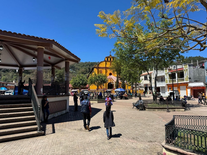 Piden investigación estatal por presuntos actos de impunidad en el ayuntamiento de Oxchuc