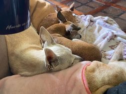 8444842B-9AF8-45A3-A97A-69899F043B69