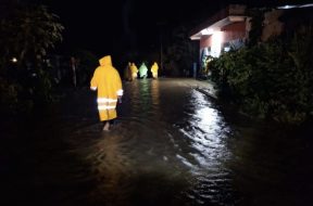 8CEA1DCF-256A-4131-A4E6-8D5B02A82C30