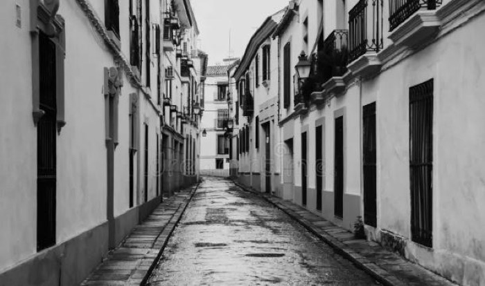 Perro negro y callejero