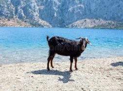 C0FC0B5F-0B83-4779-B3CC-184D68E2F10D