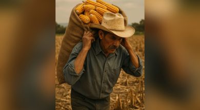 CA12F14A-0C5B-404E-AC24-6F70763CBB16