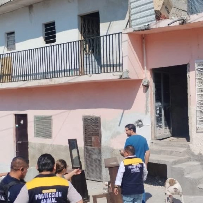 Advierten riesgo de impunidad en caso de agresión contra perro en Tuxtla