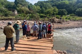 D366ACF4-C35A-4B0F-9764-FC499049F676