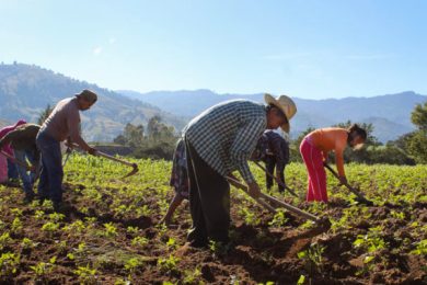 D5E28937-88FF-47E0-A099-B6AA68016FAA