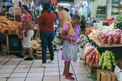 DC92A4C8-20B7-4D00-9B24-49998EA0D53A